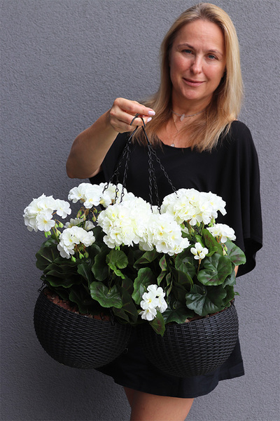 Pelargonia White, kompozycja pelargonie w wiszącej donicy