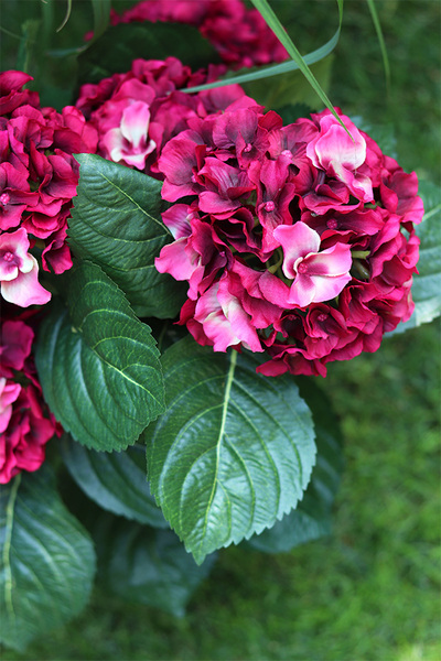 doniczkowa hortensja Wiśniowa, wysokiej jakości sztuczne kwiaty, wys.40cm