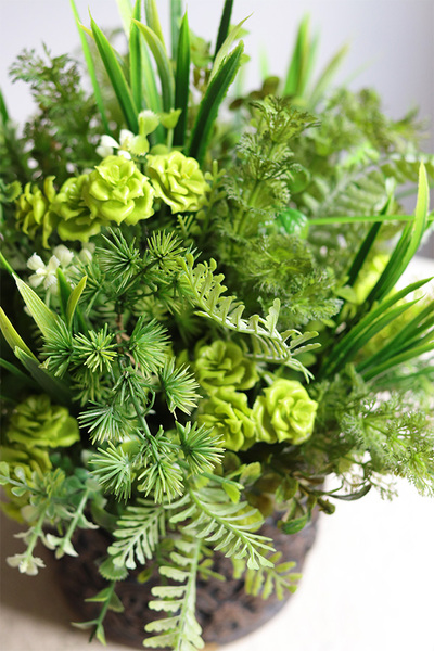 Ferade, sukulenty w nowoczesnej donicy