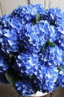 bardzo bogaty kosz hortensji, Blueste Provance, wym.56x47cm   