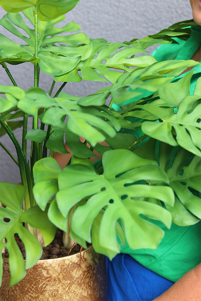 Monstera Gold Hilton 3, drzewko sztuczne w donicy