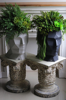 Adonis Head, nowoczesna dekoracja zielona w głowie