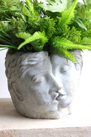 Suculenti Head, efektowna kompozycja sukulenty w głowie