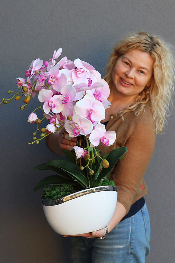 Pink Gelia, różowy storczyk glamour, wys.