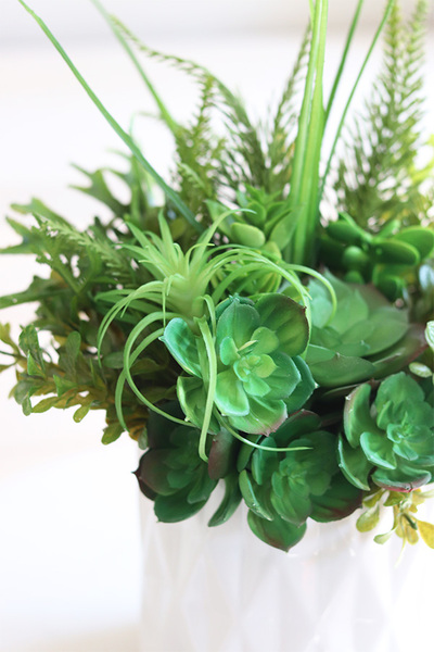 Forenia B, zielona kompozycja z sukulentami, wym.30cm