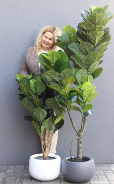 Fikus Dębolistny, sztuczna roślina w doniczce, wys.130cm