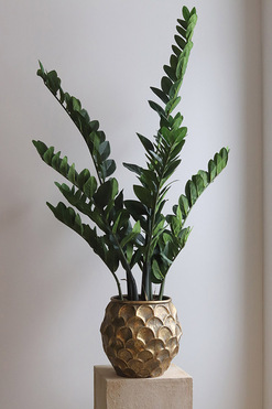 Zamiokulkas Mardin Gold, sztuczna roślina w doniczce, wys.125cm