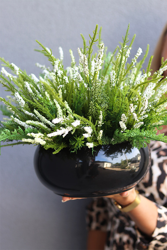 Biel Wrzosów Piano, kompozycja w czarnej misie