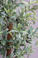  Oliwka Concrete 2, sztuczne drzewko w betonowej donicy