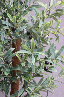 Oliwka Concrete 2, sztuczne drzewko w betonowej donicy, wys.210cm