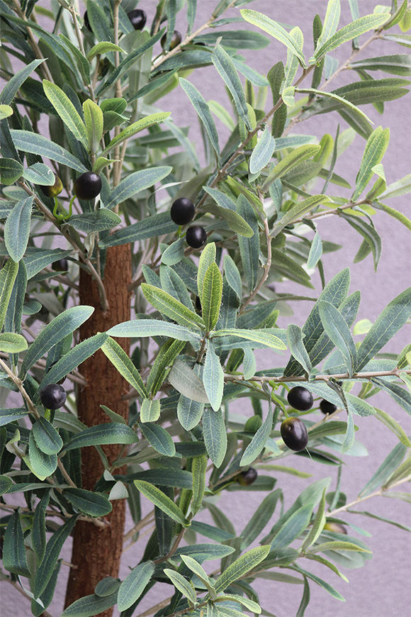  Oliwka Concrete 2, sztuczne drzewko w betonowej donicy