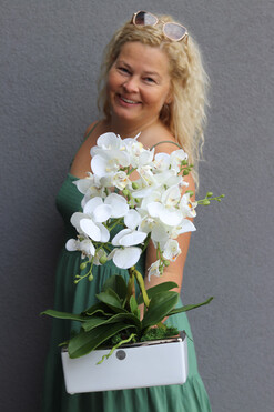 Banerra Krakovia, biały storczyk w prostokątnej donicy, wys.