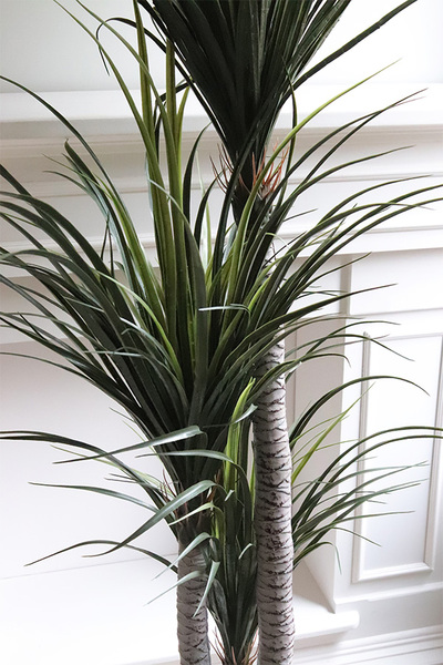 Jukka, wysokiej jakości sztuczna roślina