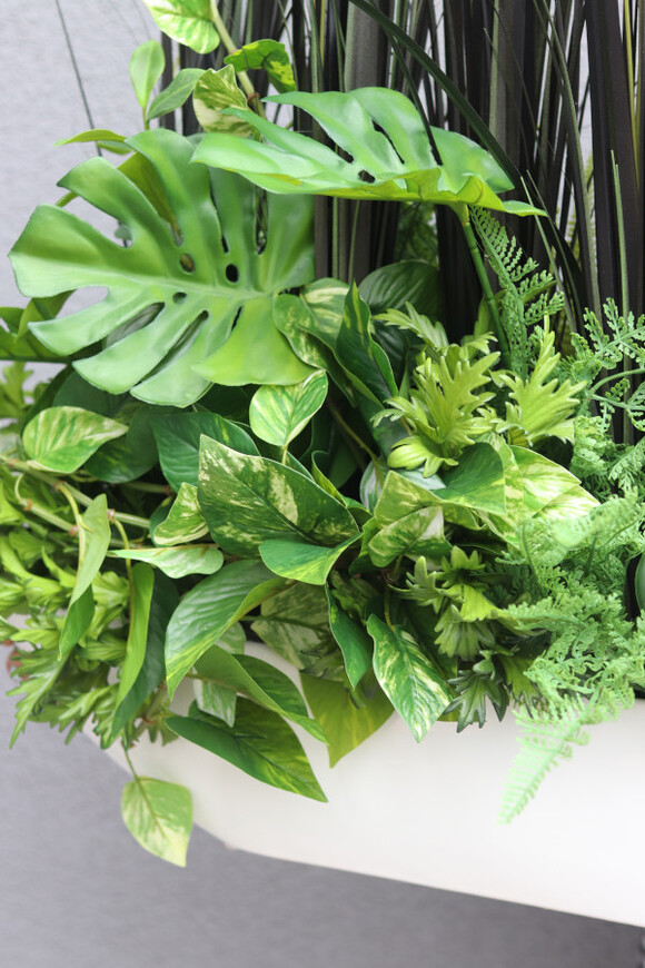 Black Grass Laos, zielona kompozycja w naczyniu