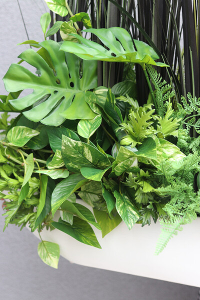 Black Grass Laos, zielona kompozycja w naczyniu