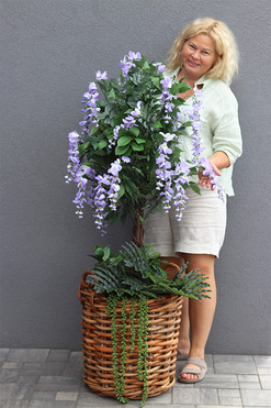 Wisteria Usagi Basket A, sztuczna roślina w koszu, wys.145cm 
