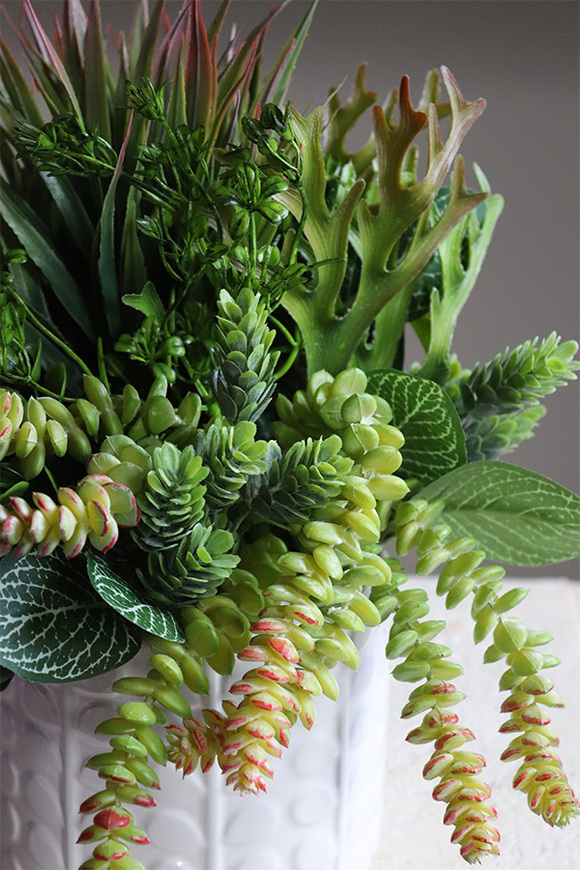 Jerudo B, kompozycja sukulenty w białej donicy, wys.27cm