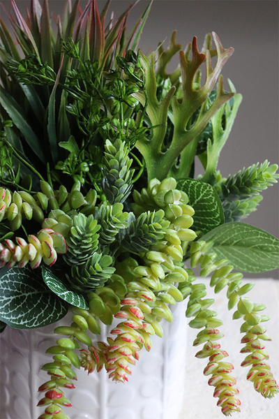 Jerudo B, kompozycja sukulenty w białej donicy, wys.27cm