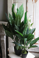 Skrzydłokwiat, sztuczna roślina w osłonce z tworzywa sztucznego, wys.95cm