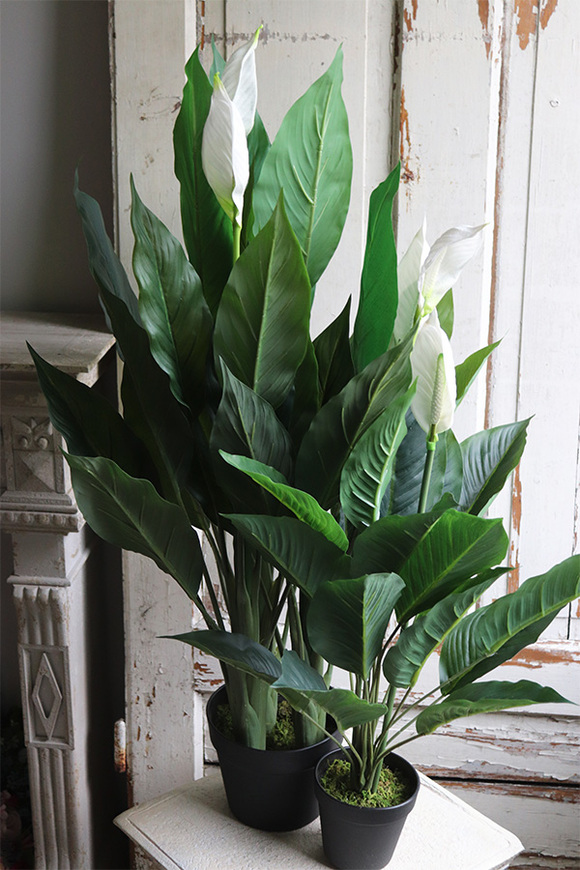 Skrzydłokwiat, sztuczna roślina w osłonce z tworzywa sztucznego, wys.95cm