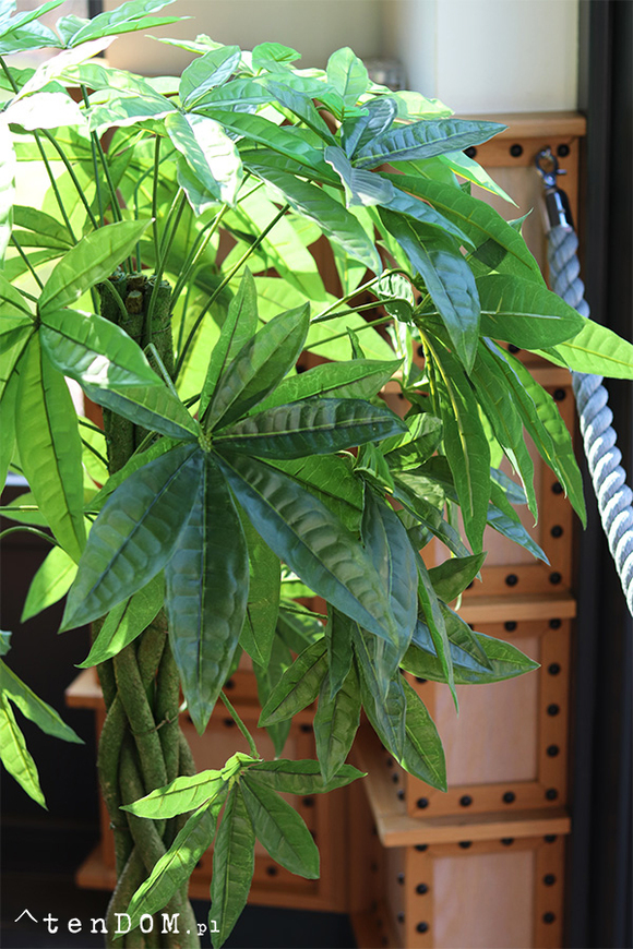 Kasztanowiec, sztuczna roślina w doniczce