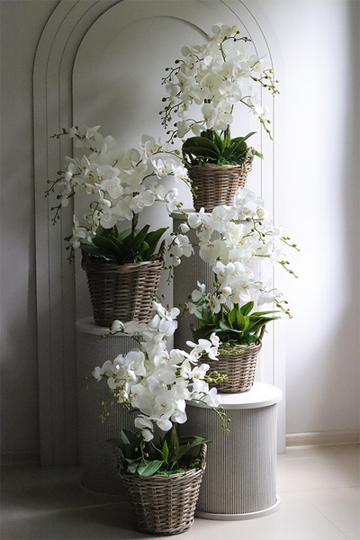 Rattania Provance A, sztuczny storczyk w wiklinowym koszu