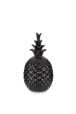 Ananas Black, pojemnik ceramiczny C, wym.19x10x10cm