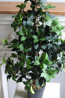 Fikus formowany, sztuczna roślina w doniczce