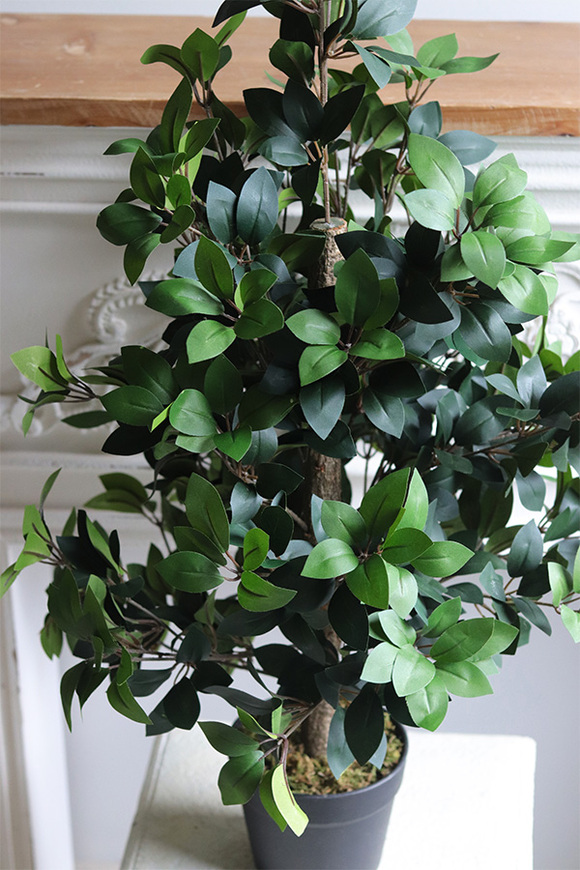Fikus formowany, sztuczna roślina w doniczce