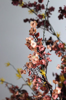 Akai, wiosenna kompozycja z ptaszkami