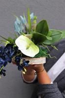 Blue Moon, kompozycja kwiaty na drewnie