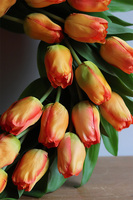 Tulipany Orange, wiosenny wianek z tulipanów	