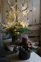 Mroźna Magnolia, świąteczna kompozycja z drzewkiem magnolii, wys.67cm