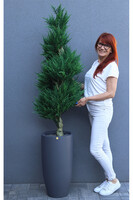 Cyprys Fiberglass, sztuczna roślina w doniczce