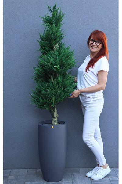 Cyprys Fiberglass, sztuczna roślina w doniczce