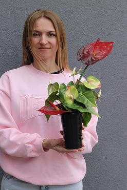 Clear Design Carmen, nowoczesny bukiet nagrobny we wkładzie, dł.44cm