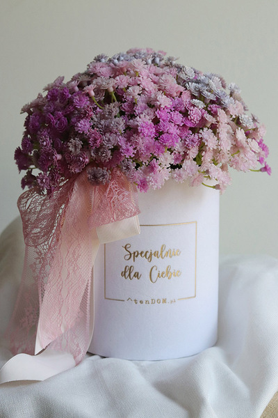 Gipsówka Ballerina, flowerbox kwiatowy welurowy