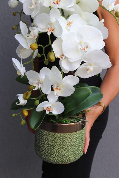 Green Bedua, sztuczny storczyk, wys.65cm