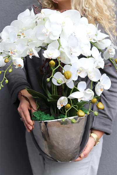 sztuczny storczyk Cinderella Silverraw srebrnej donicy