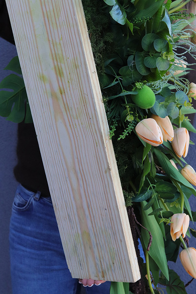 Hollandia Morelia, girlanda nagrobna na desce