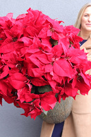 Gwiazda Betlejemska Grandiosa, wysokiej jakości sztuczna roślina