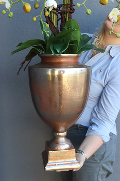 Champagne Exclusive Villa, storczyk w pucharze, wys.101cm 