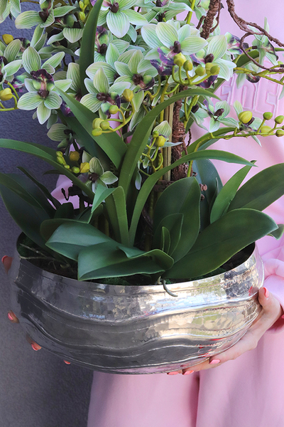 Mint Deluxe, gumowy storczyk w ozdobnej misie