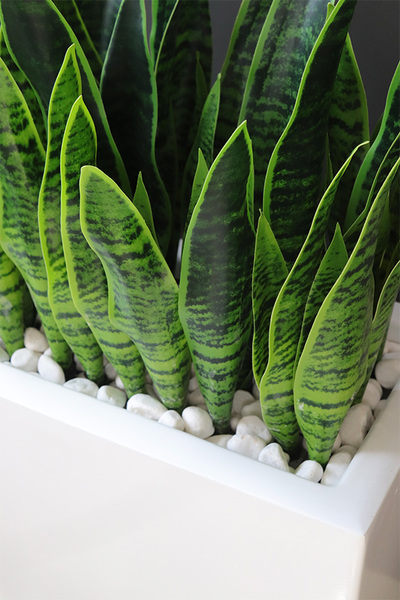 Sansewieria Fiberglass Marco 3, roślina sztuczna w donicy