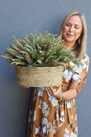 Wrzosowisko Zieleń, kompozycja kwiatowa w donicy