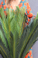 Cykas, sztuczna roślina w osłonce	