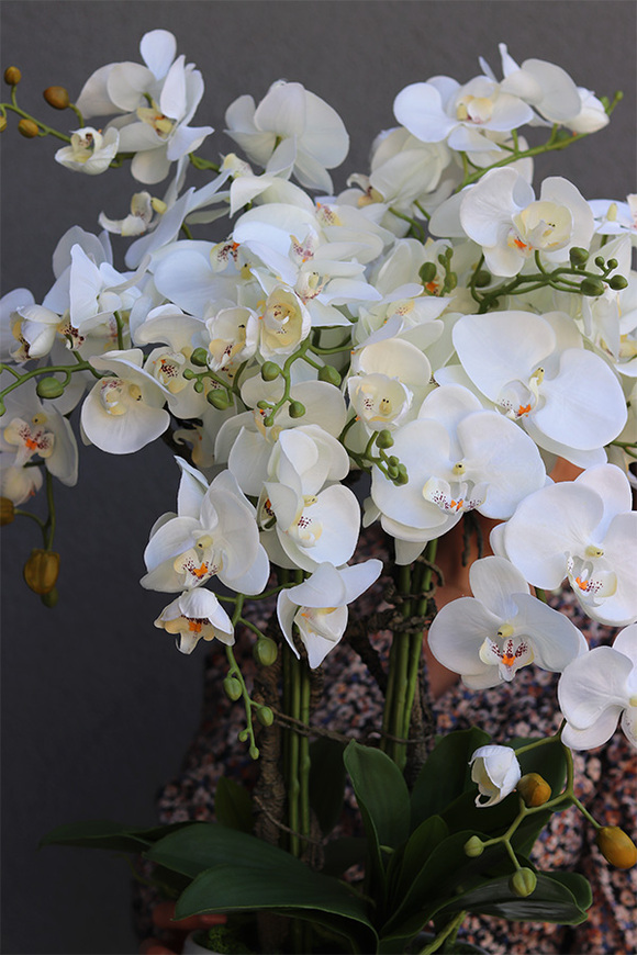 Hefrata Big, sztuczny storczyk w białej donicy