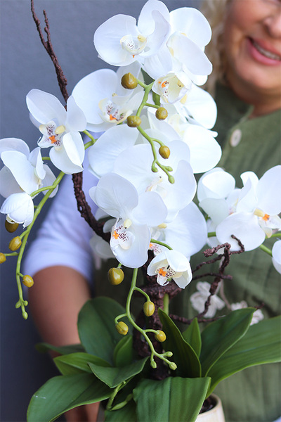 Gretiena, sztuczny storczyk w doniczce ombre