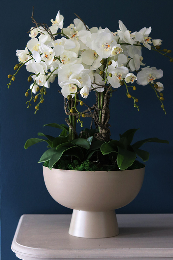 Beige SImplicita, storczyk w metalowym pucharze, wys.77cm