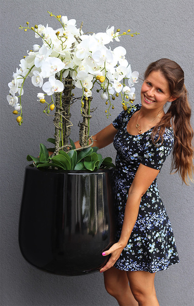 Ferina Black Grande, storczyk w donicy fiberglass